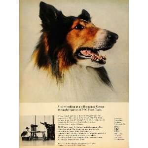   Glass Co. PPG Rough Collie Dog   Original Print Ad