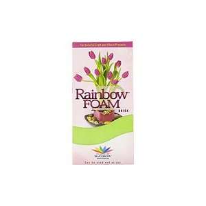 Lime Green Rainbow Foam Brick   For Colorful Craft & Floral Projects 
