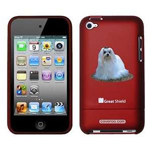  Maltese on iPod Touch 4g Greatshield Case  Players 