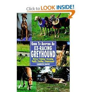  Guide to Adopting an Ex Racing Greyhound History 