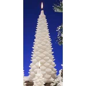   Winter Wonderland Evergreen Fir Scented Christmas Tree Candles 11.5