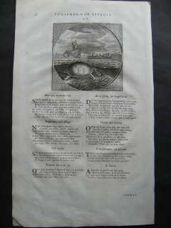 Schildkröte, Schiff, Jacob Cats, Kupferstich von 1712  