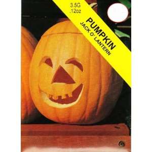  Jack O Lantern Pumpkin Patio, Lawn & Garden