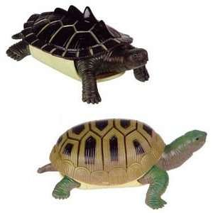  Turtle Squishimals Toys & Games