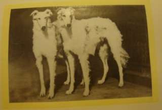Dogs, Melbourne Sporting Library, EXTREMELY RARE, 1907  