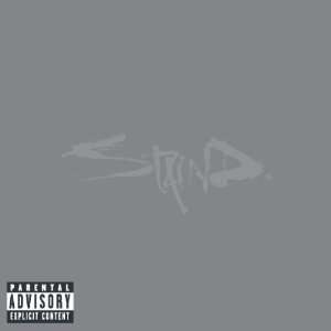 14 Shades of Gray Staind  Musik