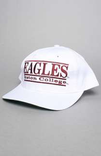 Retro Snapbacks The Eagles Snapback in White  Karmaloop   Global 