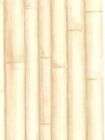 wallpaper cream tan sage faux bamboo 