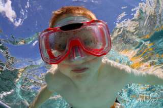 Kinderschwimmen in Dresden in Dresden   Pieschen  Weiteres   