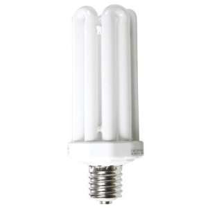  Lights Of America Cfl Replacement Bulb (9385b)