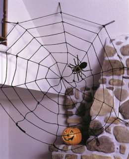 Spider Web,9Rope,White. 9 FT Diameter spider web made of 4mm rope 