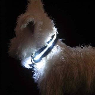  LED Lighted Dog Collar Sleeve   Frontgate