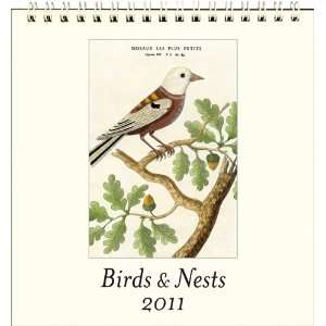  Birds & Nests Art Easel