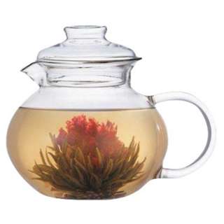 Primula Glass Tea Pot With Loose Tea Infuser   Clear product details 