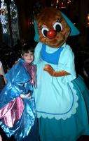 Cinderellas FAIRY GODMOTHER Costume CHILD SIZE  