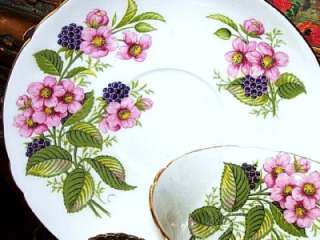Shelley BRAMBLE FRUIT BLACKBERRY Tea Cup and Saucer  