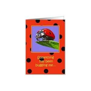  Ladybug Belated Birthday Wishes Paper Greeting Cards Card 