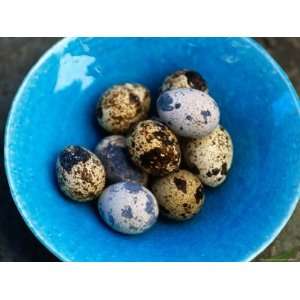 , Quail Eggs, Are Considered a Delicacy and Usually Eaten Hard Boiled 