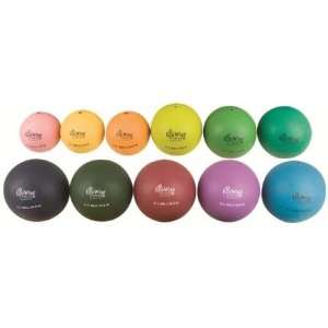  ECOWISE Non Bouncing Physical Therapy Ball Set   2   30 