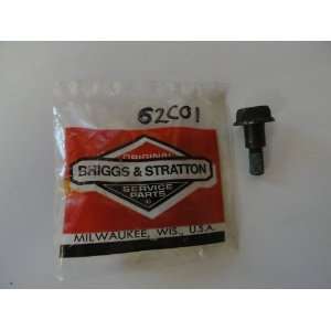  BRIGGS AND STRATTON 800013 SCREW Patio, Lawn & Garden