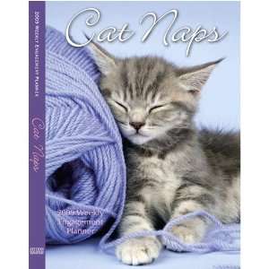  Cat Naps 2009 Engagement Diary Calendar