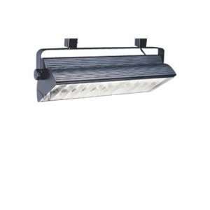   Black J Series Compact Fluorescent Wall Washer 2X39W