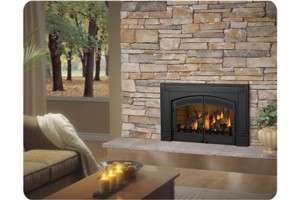    30N Napoleon Fireplace Insert Direct Vent Natural Gas Insert  