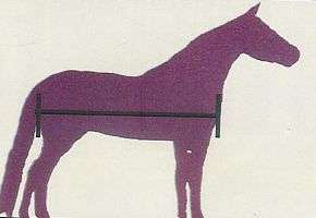 Miniature Horse ~ Donkey NEWBORN Waterproof Blanket  
