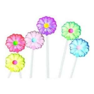 DAISY ASSORTED COLOR LOLLIPOPS  Grocery & Gourmet Food
