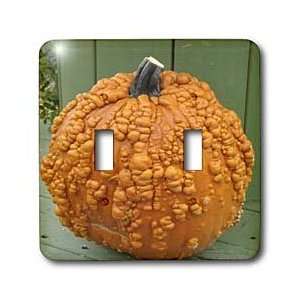 Cassie Peters Photography   Heirloom Pumpkin   Light Switch Covers 