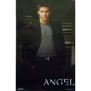   23x35 Television Series Poster 1999 David Boreanaz 