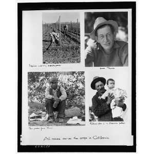  Dorothea Lange,All races serve crops in California 1935 