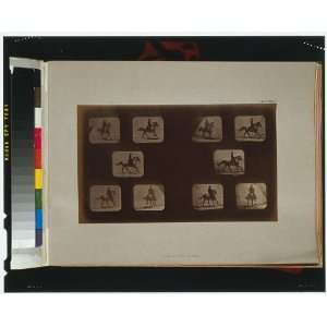   ,series,photograph,Eadweard Muybridge,CA,c1881