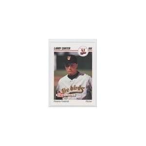   1992 Phoenix Firebirds SkyBox #378   Larry Carter