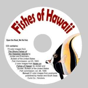 Hawaiian Fishes Vintage Tropical Fish Prints CD ROM  