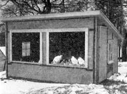 An open front coop during a Canadian winter. Note the snow on the 