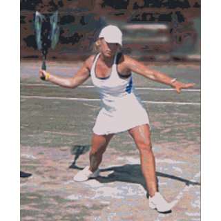  Tennis Stroke Training Aids   ETCH Swing By Pat Etcheberry 