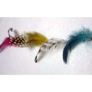   Colorful Guinea and Grizzly Feather Hair Extension, Limited. Beauty