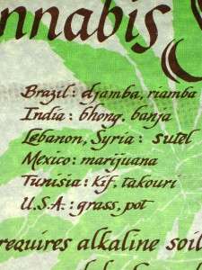 Cannabis Sativa Vintage Pot Poster 1971, Marijuana Weed  