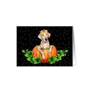  Yellow Lab Dog Pumpkin Halloween Card Health & Personal 