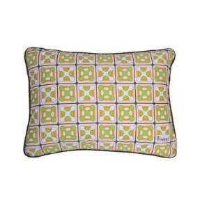  Geox Orange and Green Nursery Pillow