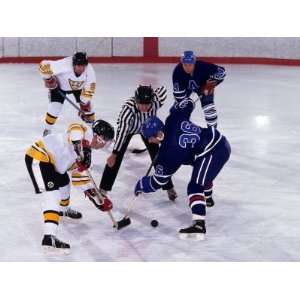  Ice Hockey Face Off, Torronto, Ontario, Canada 