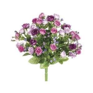 12 Sweetheart Rose Bush x14 Lavender Purple (Pack of 24 
