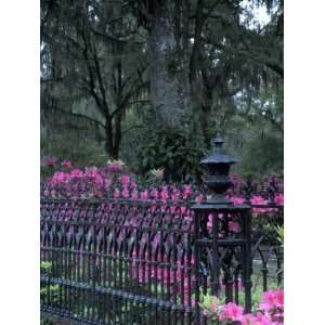  Bonaventure Cemetery, Savannah, Georgia, USA Photographic 