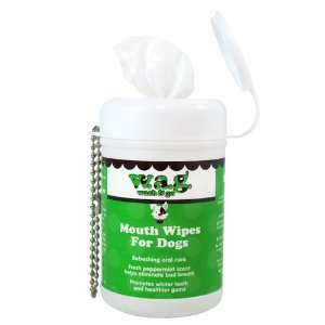  WAG Mouth Wipes, Mini 20wipes