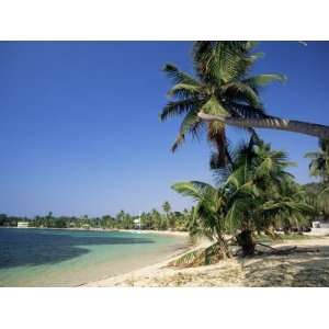  Beach at Resort of West End, on Roatan, Largest of the Bay 