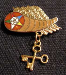 Beautiful Masonic Eastern Star TREASURER Cornucopia Pin  
