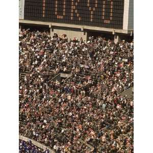  Crowd at the Olympic Stadium During Summer Olympics with a 