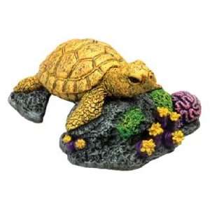  Blue Ribbon Pet Products Sea Turtle   EE 365