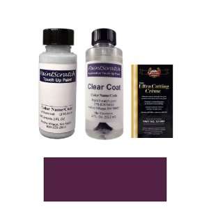  2 Oz. Grape (very dark purple) Paint Bottle Kit for 1990 
